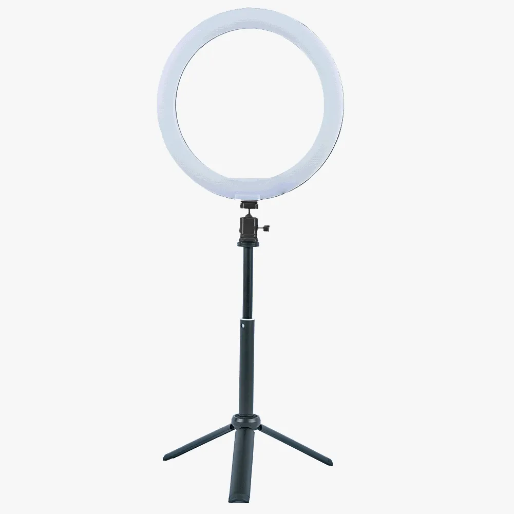 10" / 25cm LED Ring Light Portable Zoom Meeting Desk RGB - Unicorn